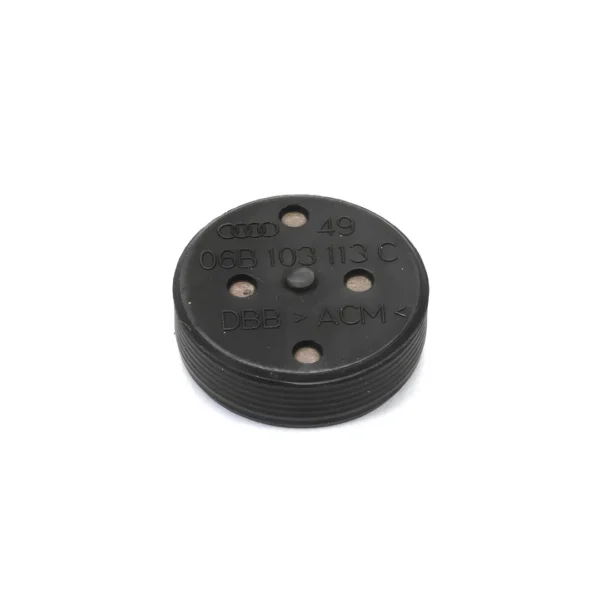 25 Tapón de Expansión / Sello de Bloque y Culata (Tapón de Agua) - VW Golf / Jetta / ŠKODA Octavia 1.6 & 2.0 - OEM 06B103113C